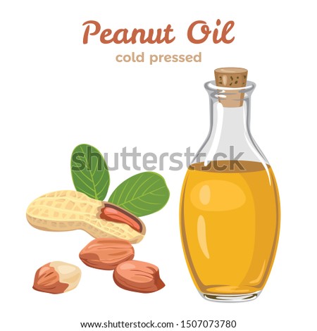 Peanut oil in glass bottle isolated on white background. Vector illustration of peanuts and green leaves in cartoon simple flat style. Royalty-Free Stock Photo #1507073780