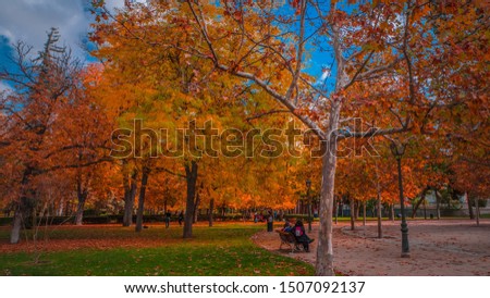 Beautiful, warm, and sunny fall day in Buen Retiro park located in the downtown Madrid, Spain during fall / autumn with colorful foliage in the background.