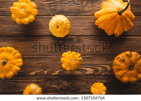 fresh picked gourds on wooden surface 