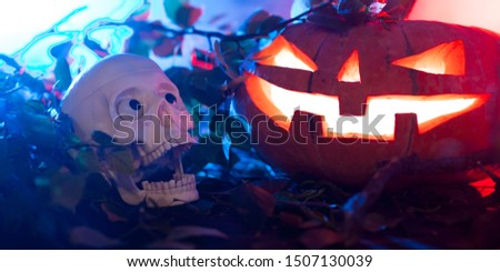 Halloween Pumpkin In A Mystic Forest At Night