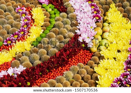 Autumnal flower background. A carpet of colorful flowers. Top view. Holiday background.