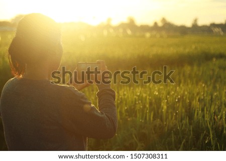 Woman & sunset in field. Smartphone phontographer at work. Morning warm sunlight over paddy field background.