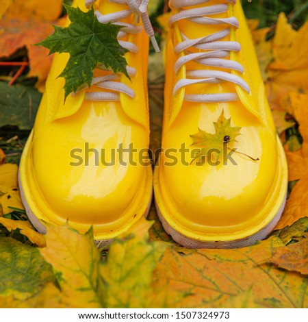 Square picture of yellow rubber boots and yellow maple leaves on a wet grass. Autumn season concept. Maple leaf on the rubber shoe with ladybird on it.