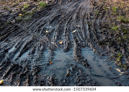 Bicycle dirt track in the autumn, covered in rain water puddle, with lots of bike trails