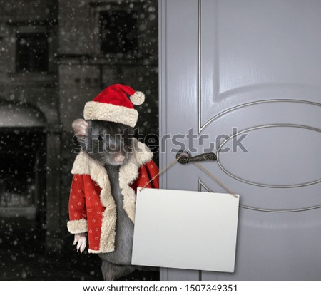The pet rat in a Santa Claus clothes is opening the door with a blank sign on the knob.