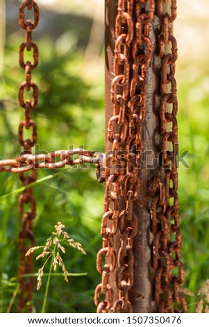 Old rusted iron chain, blurred background with plants; outdoors image

