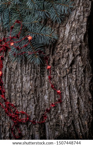 ON THE BARK OF THE TREE RED BEADS, SPRUCE BRANCH, NEW YEAR HOLIDAY,