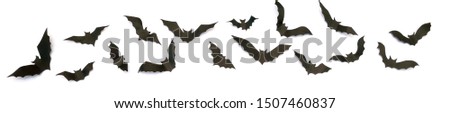 Top view of black paper black over white background with copy space. Halloween party decoration, scary spooky and dark concept banner
