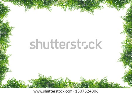 Tree frame isolated on white background