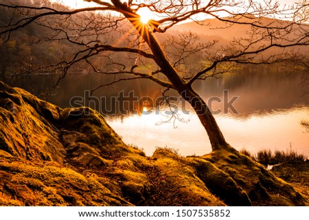 Sun beams coming through a tree on the Grasmere lake. Colorful reflections in the fall season. Autumn colors on a calm evening in Cumbria, United Kingdom.