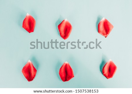 rose petals on a blue background
