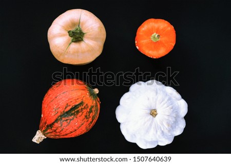 Pumpkins of different shapes on a black background. Autumn, harvest, Thanksgiving concept.