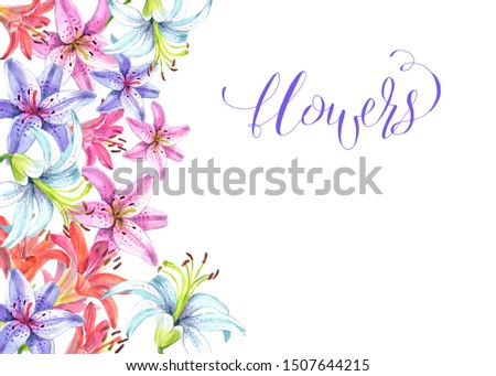 Elegant lilies, a set of red, white, blue and pink flowers on an isolated white background. Watercolor illustrations, collection, postcard, wreath for congratulations and gift.