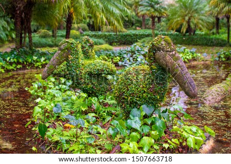 Garden in Furnas area, São Miguel Island, Azores