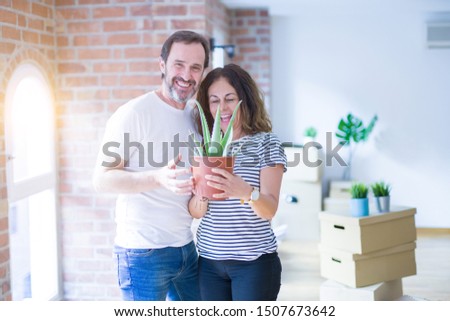 Middle age senior romantic couple holding aloe vera plant smiling happy for moving to a new house