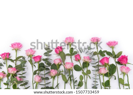 Set of eucalyptus leaves with pink rose flowers lies on top view, copy space