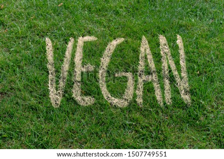 vegan word text drawn on  grass, eco healthy products concept