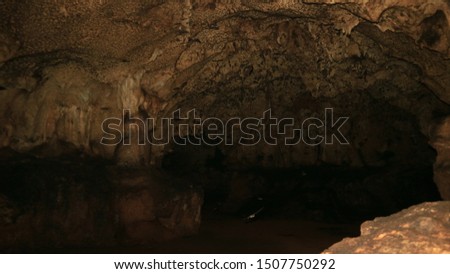 Rifai'i Bat Cave in Bangkalan Madura Indonesia