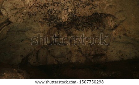 Rifai'i Bat Cave in Bangkalan Madura Indonesia