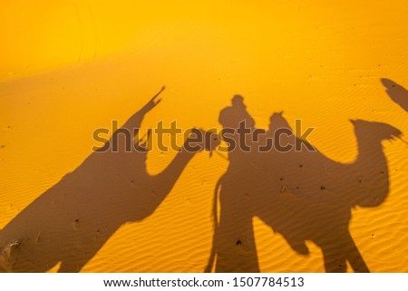 Travelling through the Sahara desert riding a camel under the blue sky on a very warm day