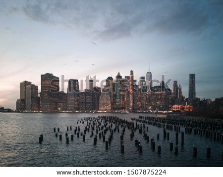 New York City skyline with birds 