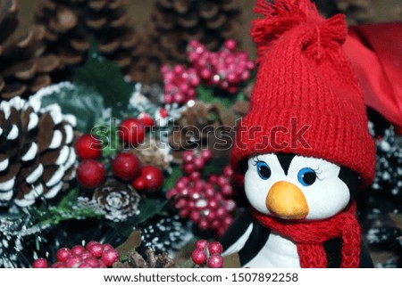 Picture of a beautiful penguin in a Christmas setting !!