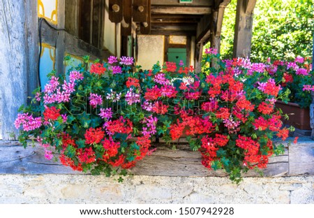 Balcony with many pots of geraniums