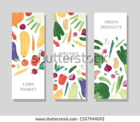Hand drawn set of colorful fresh organic  vegetables isolated on white background. Bundle of healthy vegetarian food, tasty vegan products use for cooking books, restaurant menu, posters, farm markets