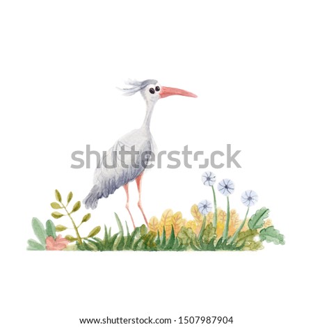 Watercolour handmade blue heron illustration isolated on white background 