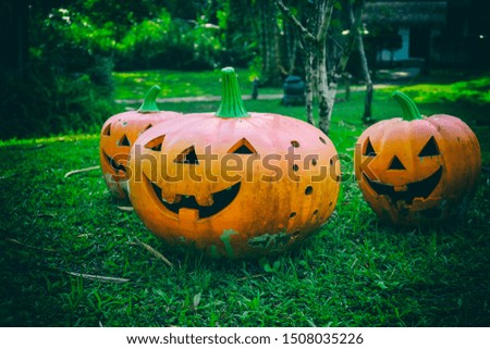 Halloween pumpkins on lawn and halloween Background 