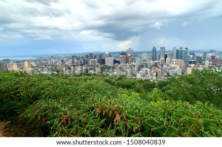 View of Montreal City, Quebec from Mont-Royal park. 