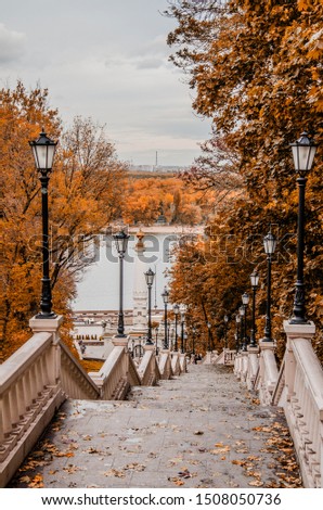 Autumn landscapes in the city, orange trees, October colorful, Kiev, Ukraine Royalty-Free Stock Photo #1508050736