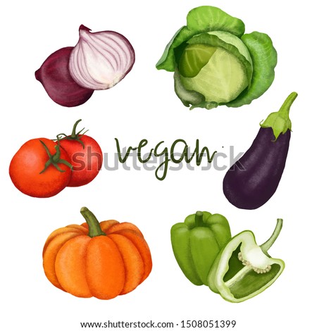 Vegetables. Healthy food. Paprika, potatoes, cabbage, carrots, beets, tomato, pumpkin, eggplant. Healthy food. Food. Vegetarianism. Fresh and raw. Illustration