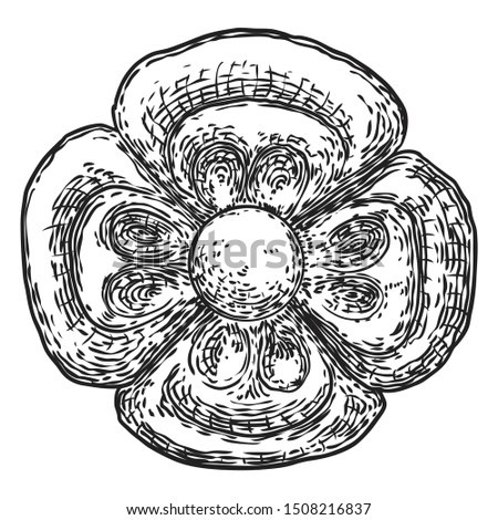 Circle ornament design for pattern, carved flower isolated on white background. Traditional style decorative marble stone. Vintage Baroque Victorian floral ornament retro decorative element. Vector. 
