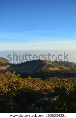 Hargo dalem savannah on the summit of Mount Lawu with clear skies. Mount Lawu, Indonesia