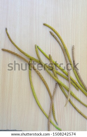 Cemara leaves with wooden background