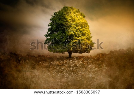 Lonely Tree in unreal surreal environment garbage nature pollution ecology Royalty-Free Stock Photo #1508305097
