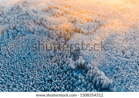 Beautiful morning starts over snowy trees, aerial landscape. After heavy snow storm in forest, amazing scenery