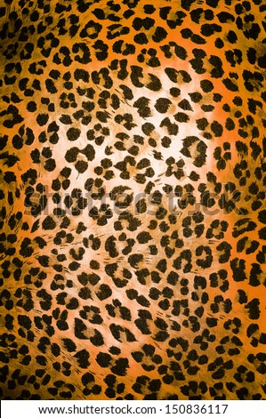 Wild animal pattern background or texture close up