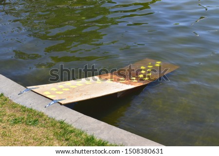 Picture of a funny duck pathway to help ducks to go on the grass surrounding a lake. 
