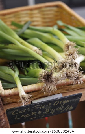 A market display of fresh green and white leeks. 2911