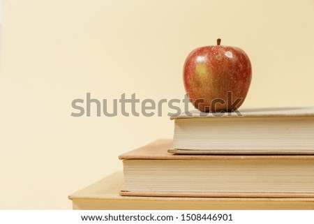 Many books in a bookstore or library on background with copy space