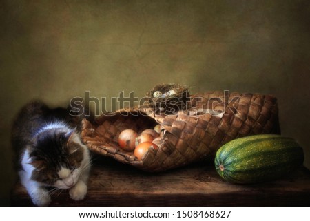 Curious tabby cat and vegetables basket