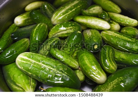 Texture of green ground cucumbers in water.