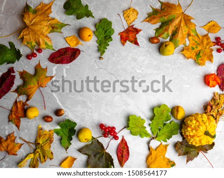 autumn background with colored mixed leaves, pumpkun, viburnum, with copy space