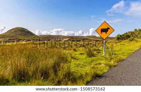 A Sign makes attention for Sheeps Crossing the Street in Ireland