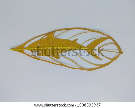 the leaves are carved with the shape of an isolated shark on a white background.  creative concept.