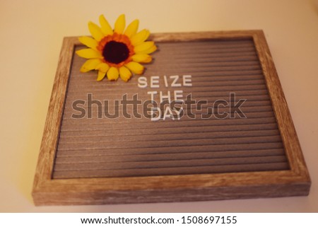 close up of sign framed gray felt board with wording quote seize the day sign with a yellow sunflower isolated on white