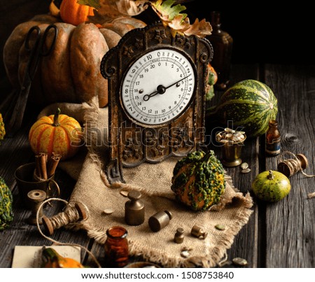 autumn thanksgiving still life photography with vintage brass scales, weights and assorted green, yellow, orange pumpkins