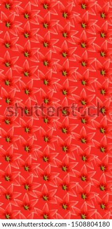 Red leaves pattern design for clothes